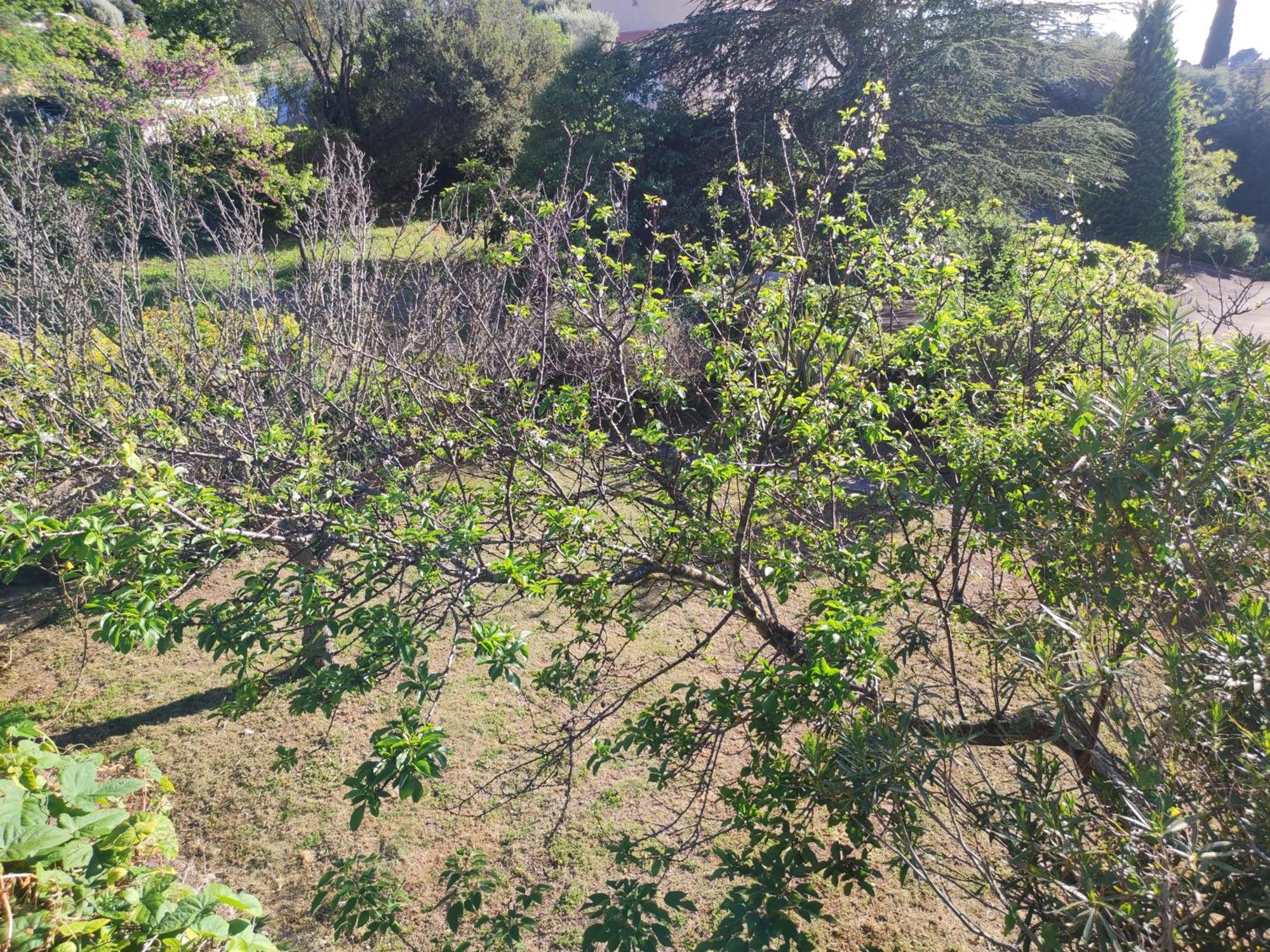 Bastide Provencale Vue Mer A 5 Min De La Plage ساناري سور مير الغرفة الصورة